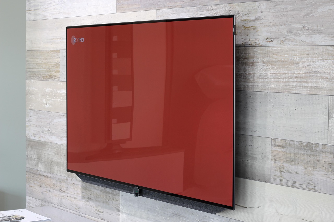 lion, image 7, 55 inch, media home suckow, riedstadt, red, nature, tv, flat, screen, ambience, elegance